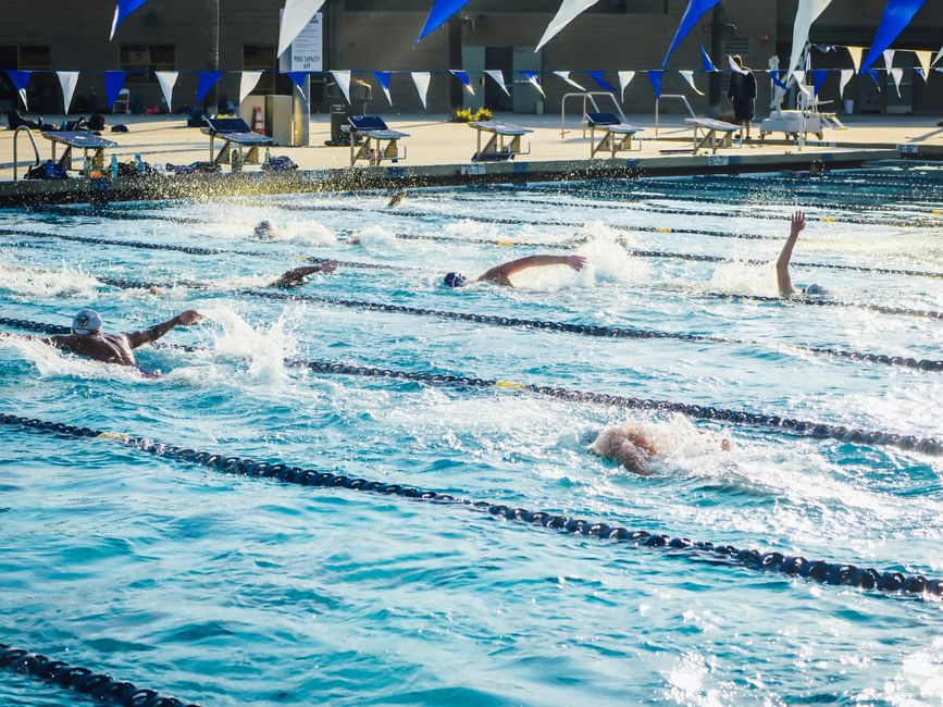 Athletes practicing in a sunlit outdoor swimming pool, showcasing dynamic swimming strokes.